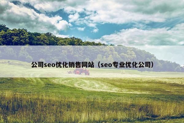 公司seo优化销售网站（seo专业优化公司）-第1张图片-冷动云