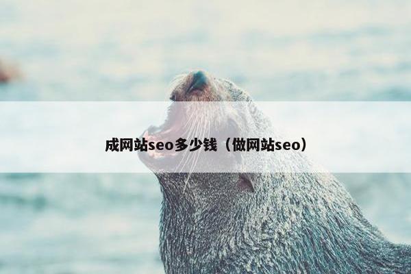 成网站seo多少钱（做网站seo）-第1张图片-冷动云