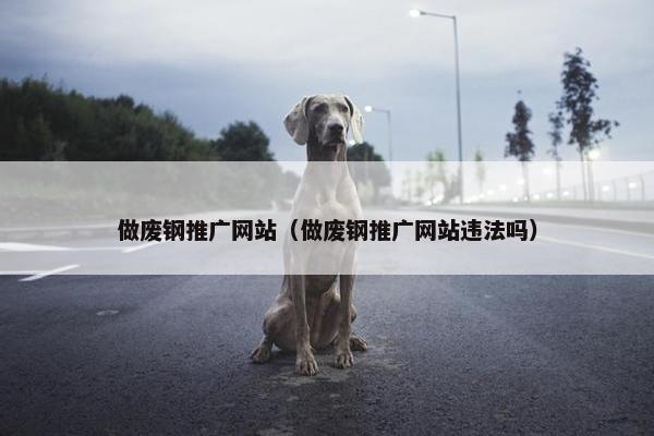 做废钢推广网站（做废钢推广网站违法吗）-第1张图片-冷动云