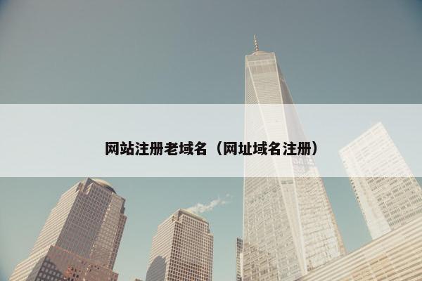 网站注册老域名（网址域名注册）-第1张图片-冷动云