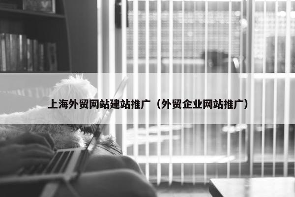 上海外贸网站建站推广（外贸企业网站推广）-第1张图片-冷动云