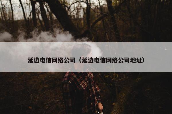延边电信网络公司（延边电信网络公司地址）-第1张图片-冷动云