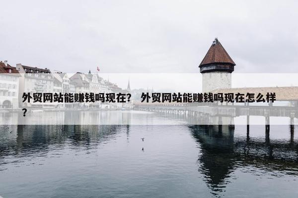 外贸网站能赚钱吗现在？ 外贸网站能赚钱吗现在怎么样？-第1张图片-冷动云