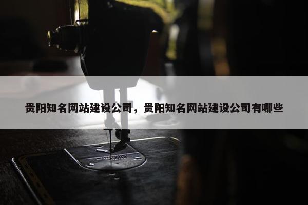 贵阳知名网站建设公司，贵阳知名网站建设公司有哪些-第1张图片-冷动云