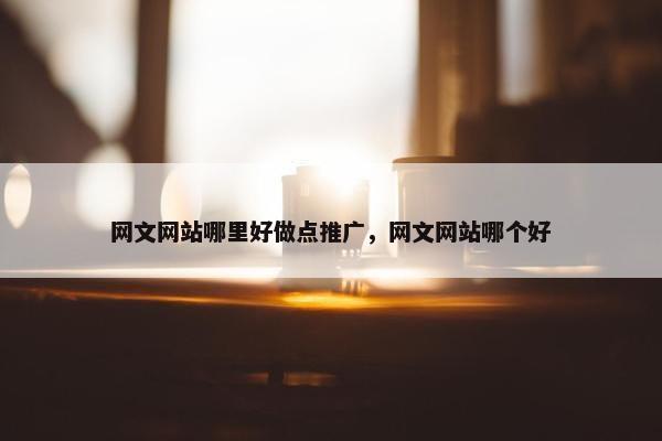 网文网站哪里好做点推广，网文网站哪个好-第1张图片-冷动云