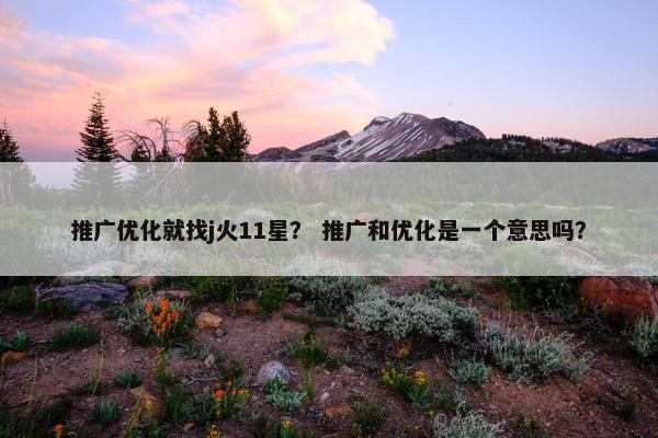 推广优化就找j火11星？ 推广和优化是一个意思吗？-第1张图片-冷动云