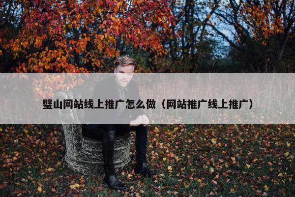 璧山网站线上推广怎么做（网站推广线上推广）-第1张图片-冷动云