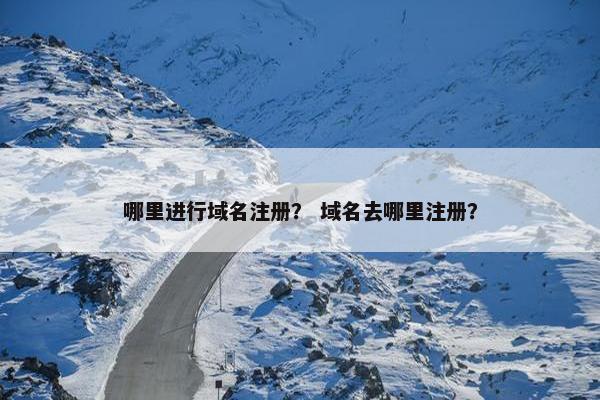 哪里进行域名注册？ 域名去哪里注册？-第1张图片-冷动云