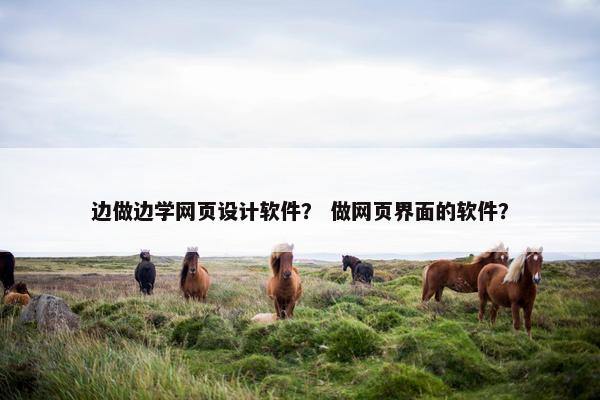 边做边学网页设计软件？ 做网页界面的软件？-第1张图片-冷动云