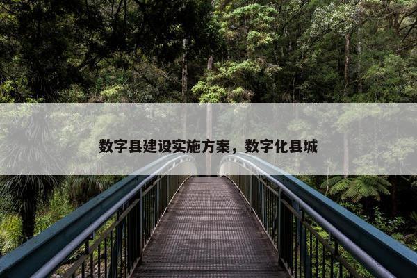 数字县建设实施方案，数字化县城-第1张图片-冷动云
