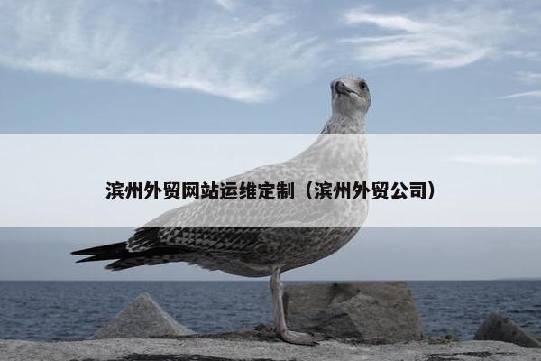 滨州外贸网站运维定制（滨州外贸公司）-第1张图片-冷动云