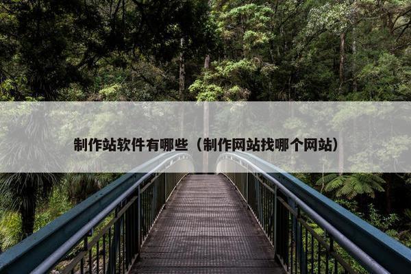 制作站软件有哪些（制作网站找哪个网站）-第1张图片-冷动云