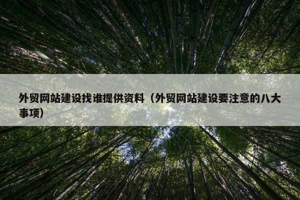 外贸网站建设找谁提供资料（外贸网站建设要注意的八大事项）-第1张图片-冷动云