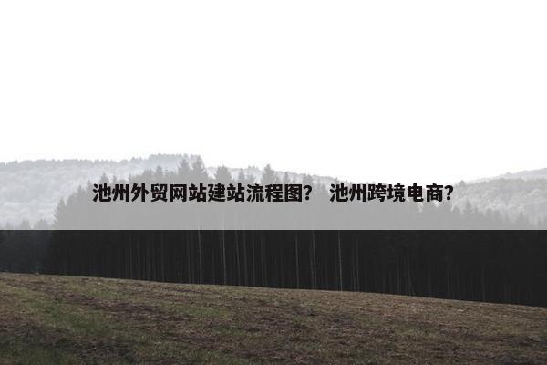 池州外贸网站建站流程图？ 池州跨境电商？-第1张图片-冷动云