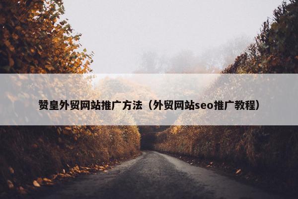 赞皇外贸网站推广方法（外贸网站seo推广教程）-第1张图片-冷动云