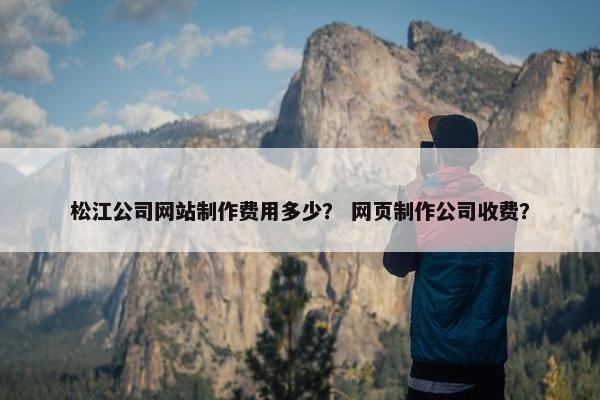 松江公司网站制作费用多少？ 网页制作公司收费？-第1张图片-冷动云