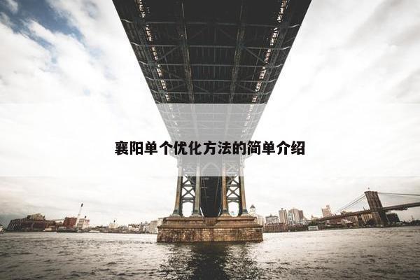 襄阳单个优化方法的简单介绍-第1张图片-冷动云