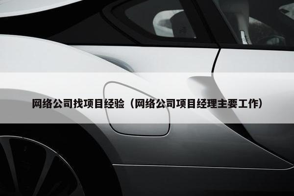 网络公司找项目经验（网络公司项目经理主要工作）-第1张图片-冷动云