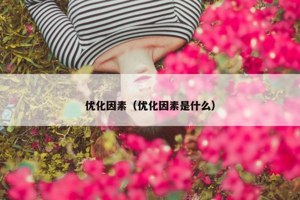 优化因素（优化因素是什么）-第1张图片-冷动云