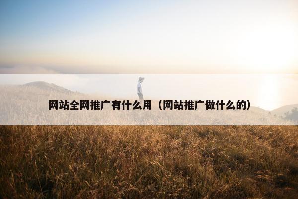 网站全网推广有什么用（网站推广做什么的）-第1张图片-冷动云