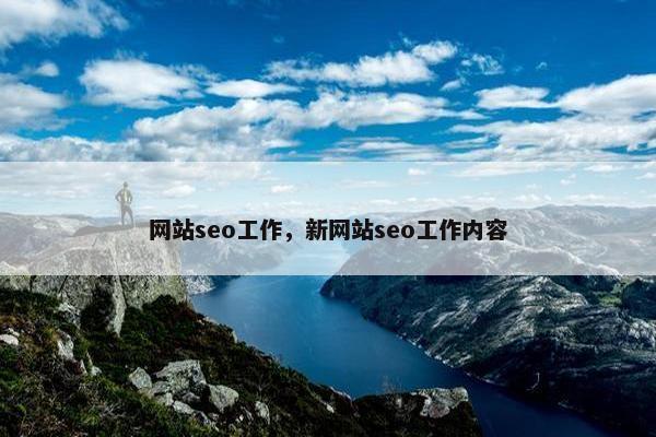 网站seo工作，新网站seo工作内容-第1张图片-冷动云