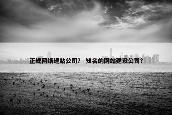 正规网络建站公司？ 知名的网站建设公司？-第1张图片-冷动云