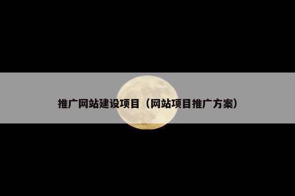 推广网站建设项目（网站项目推广方案）-第1张图片-冷动云