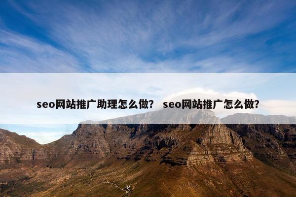 seo网站推广助理怎么做？ seo网站推广怎么做？-第1张图片-冷动云