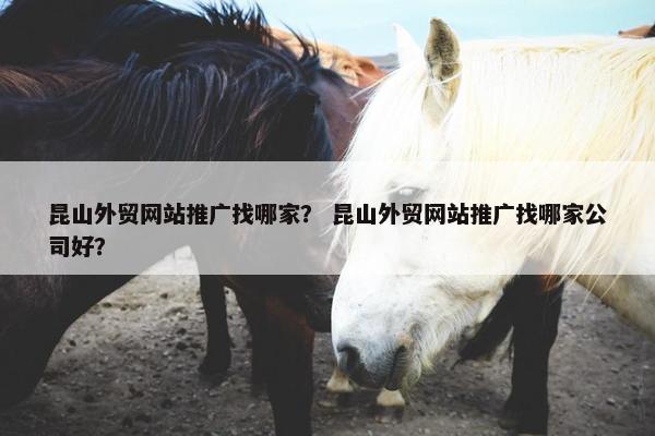 昆山外贸网站推广找哪家？ 昆山外贸网站推广找哪家公司好？-第1张图片-冷动云