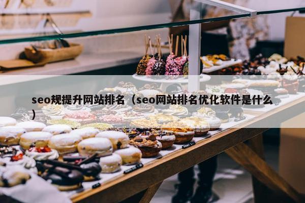 seo规提升网站排名（seo网站排名优化软件是什么）-第1张图片-冷动云