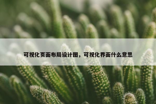 可视化页面布局设计图，可视化界面什么意思-第1张图片-冷动云