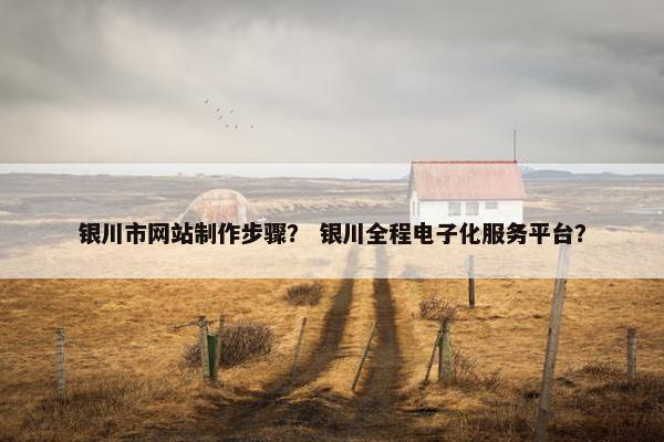 银川市网站制作步骤？ 银川全程电子化服务平台？-第1张图片-冷动云