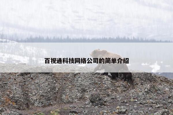 百视通科技网络公司的简单介绍-第1张图片-冷动云