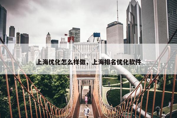 上海优化怎么样做，上海排名优化软件-第1张图片-冷动云