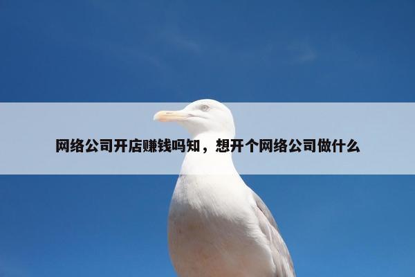 网络公司开店赚钱吗知，想开个网络公司做什么-第1张图片-冷动云