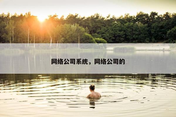 网络公司系统，网络公司的-第1张图片-冷动云