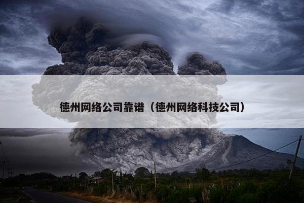德州网络公司靠谱（德州网络科技公司）-第1张图片-冷动云