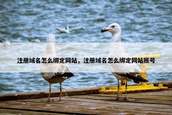 注册域名怎么绑定网站，注册域名怎么绑定网站账号-第1张图片-冷动云