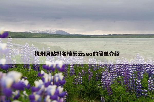 杭州网站排名棒乐云seo的简单介绍-第1张图片-冷动云