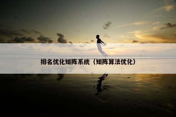 排名优化矩阵系统（矩阵算法优化）-第1张图片-冷动云