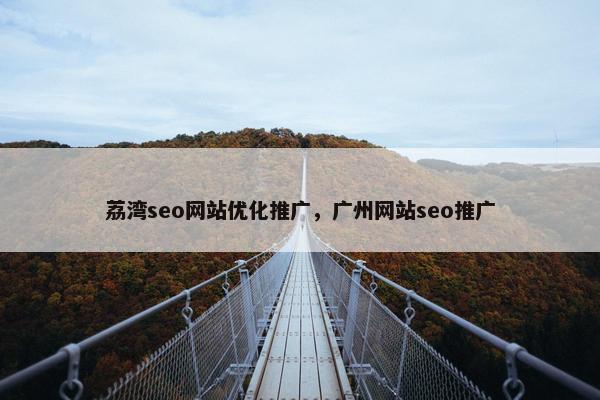 荔湾seo网站优化推广，广州网站seo推广-第1张图片-冷动云