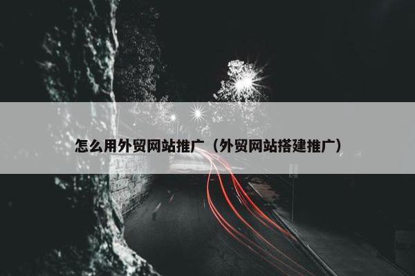 怎么用外贸网站推广（外贸网站搭建推广）-第1张图片-冷动云