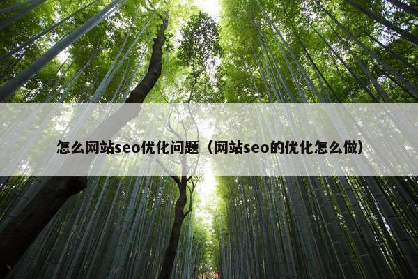 怎么网站seo优化问题（网站seo的优化怎么做）-第1张图片-冷动云