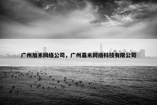 广州加禾网络公司，广州嘉禾网络科技有限公司-第1张图片-冷动云