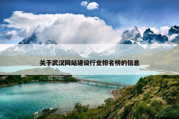关于武汉网站建设行业排名榜的信息-第1张图片-冷动云