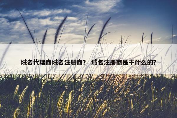 域名代理商域名注册商？ 域名注册商是干什么的？-第1张图片-冷动云