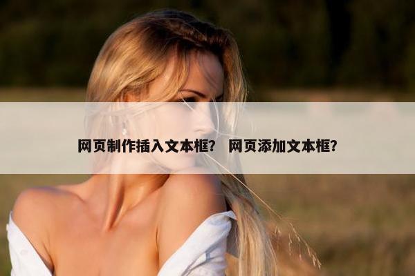 网页制作插入文本框？ 网页添加文本框？-第1张图片-冷动云