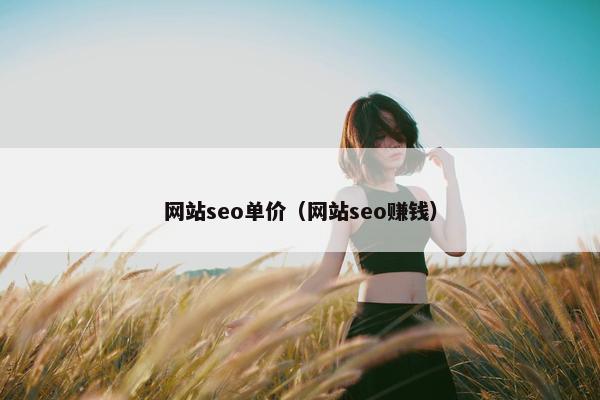 网站seo单价（网站seo赚钱）-第1张图片-冷动云