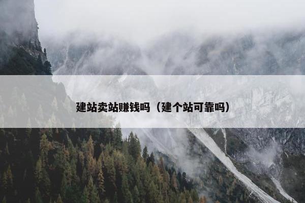 建站卖站赚钱吗（建个站可靠吗）-第1张图片-冷动云
