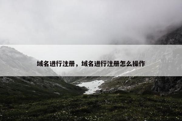 域名进行注册，域名进行注册怎么操作-第1张图片-冷动云